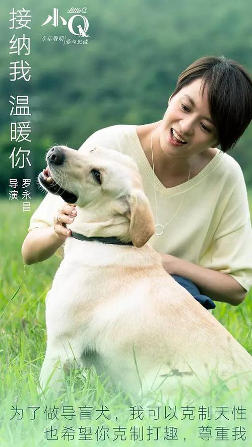 不动产登记证如何办理